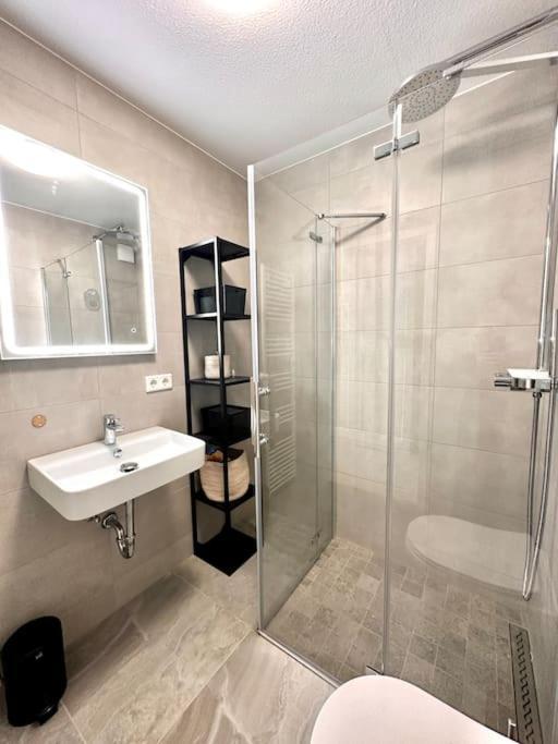 Apartment Wuerzburg